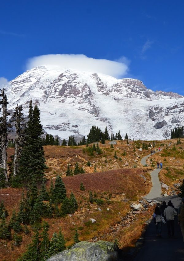 Mt Rainier in the Fall – Panorama Point