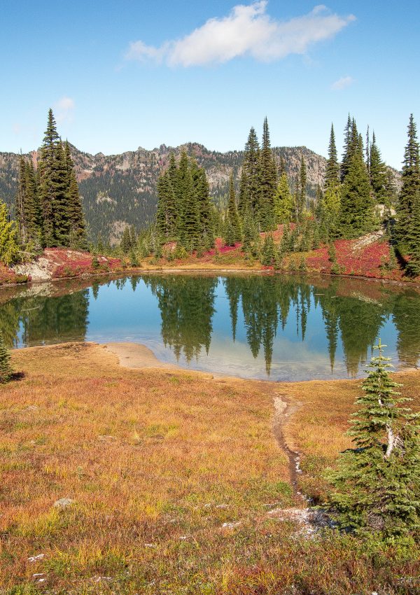 Family Hiking: Mount Rainier On The Naches Loop Trail