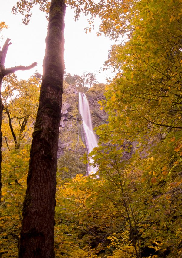 Travel Guide Along The Columbia River Gorge: Waterfall Edition